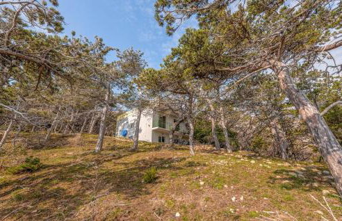 Gorgeous Apartment In Novalja - Photo 8