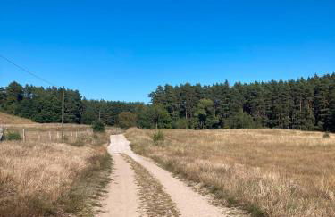 Bungalows im Grünen - Photo 20