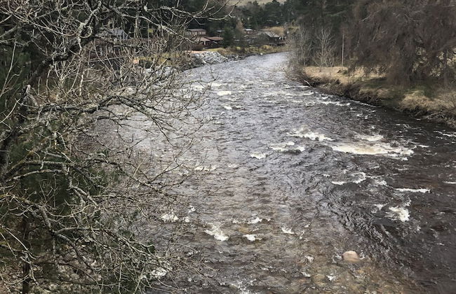 Luxury 2 Bedroom Caravan in Stunning Location - Foto 14