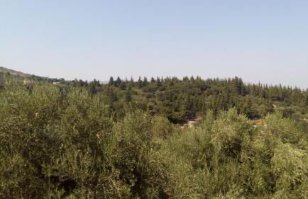 Tzitzifes Stone Mansion - Foto 44