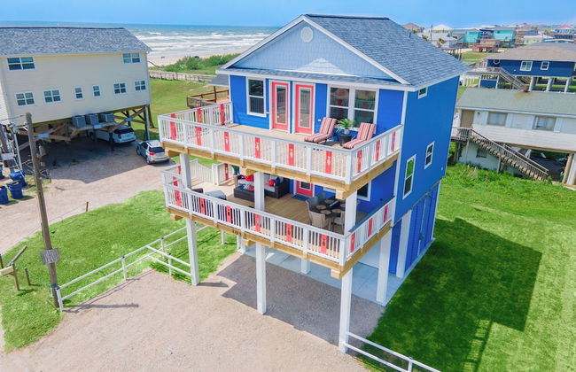 Birds of Paradise - Foto 22