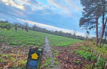 New traditional village house - Foto 14