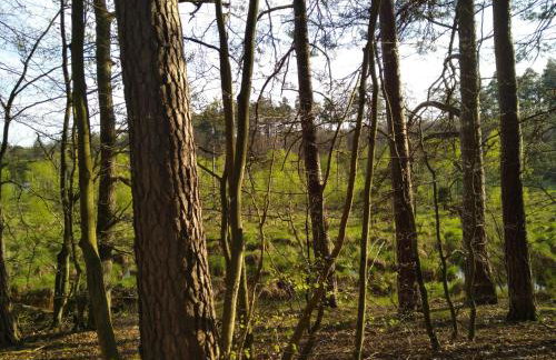 Apartament Loft na Kaszubach - Laskowa Góra Bieszkowice - Foto 34