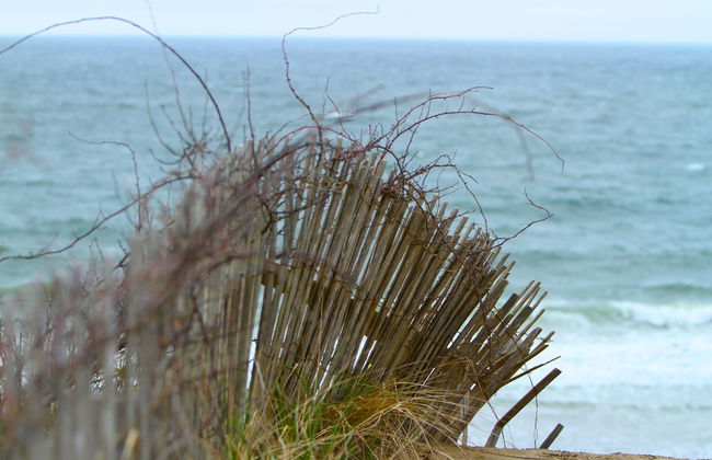 The Cove At Yarmouth - Foto 24