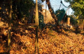 Outeiro de Setecamiños - Photo 39