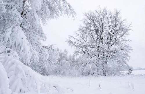 Lesne Domki VIP - Foto 50