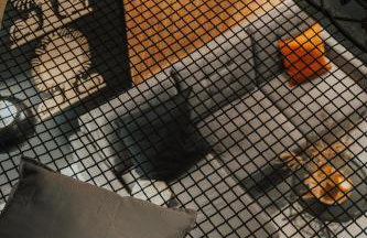 Ostoja Narwiańska - Foto 20