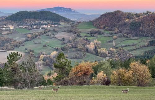 Casa Sibilla Agriturismo Le Castellare - Foto 15