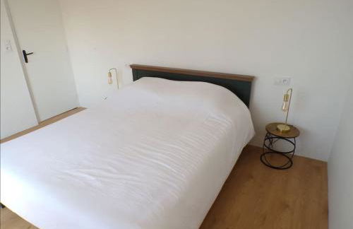 Les brumes du Mont Saint Michel - Foto 11