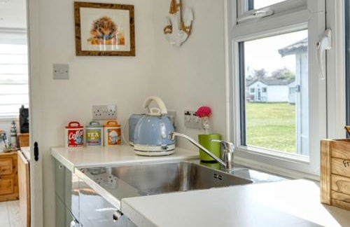 The Happy Hedgehog - Foto 27