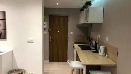 Le Green Cocoon au dessus du vignoble Alsacien - Foto 4