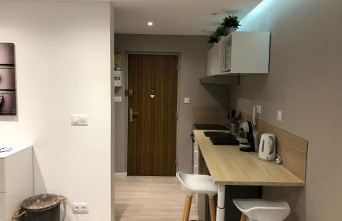 Le Green Cocoon au dessus du vignoble Alsacien - Foto 4