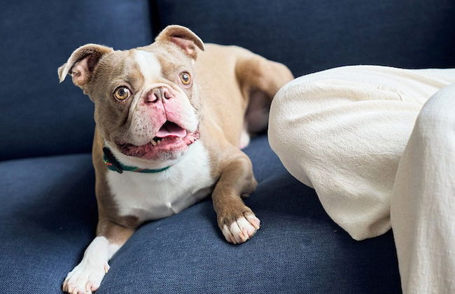 Rusk House Serviced Apartments - Foto 41