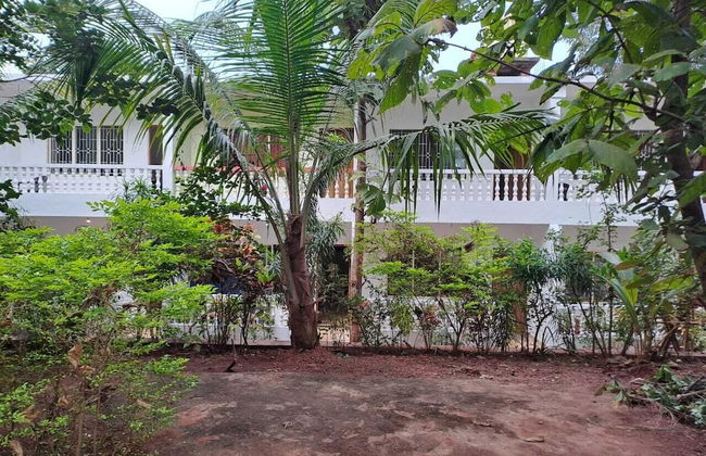 Apricot Inn - Foto 14