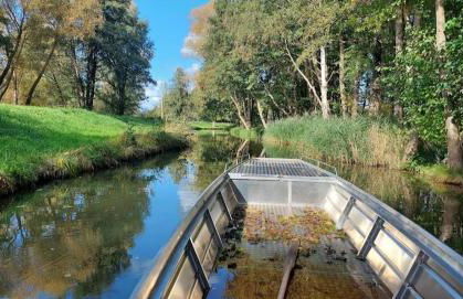 Spreewald Spreemilia Gurkenbude - Foto 21