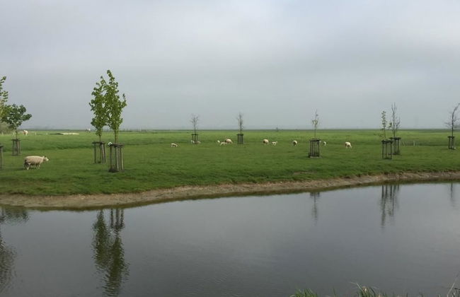 Rijnhoeve - Photo 28