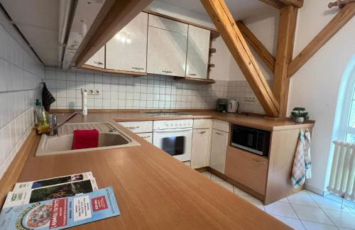 Zur Elster Landruhe Berga - Foto 6