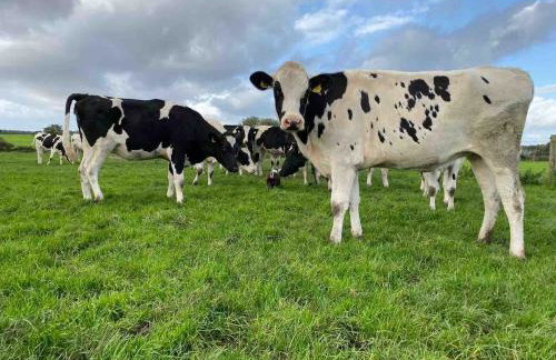 The Lodge at Greenbank Farm - Foto 2