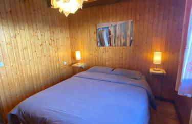 Les Georgières, 300m des pistes du Mont-Rond - Foto 6