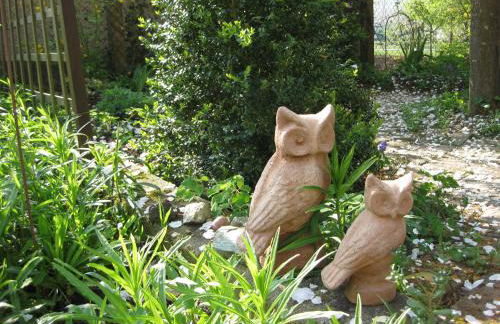 Apartments Bed & Breakfast Brückner - Foto 51