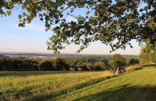 Ferienwohnung Bienenherz - Foto 19