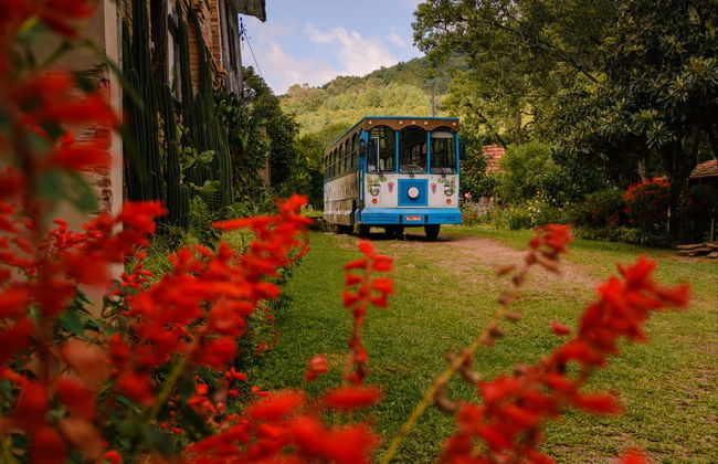 Gramado + Linha Nova Italian Immigration Tour - Photo 10