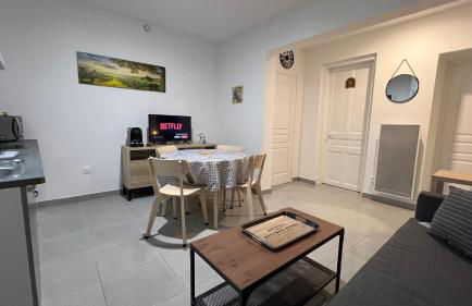 Appartement T2 40 M2 cosy RDC plein centre ville - Foto 22