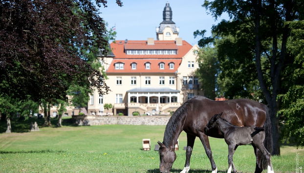 Ferienhaus Nahe Winstongolf Schwerin - Foto 2, Imagen principal
