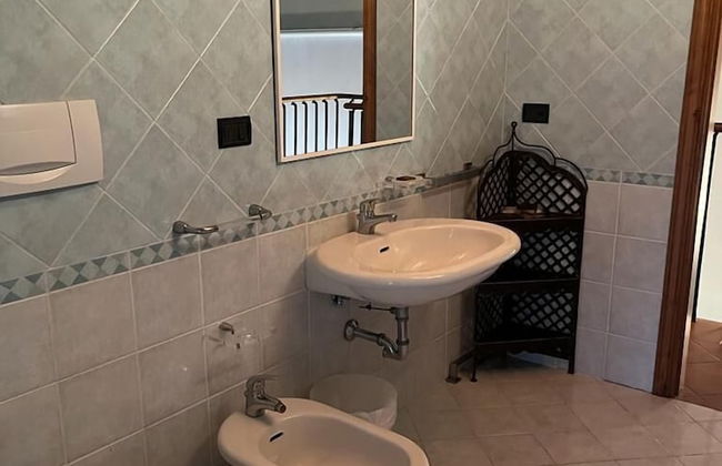 Gatto Bianco Tizzauli - Foto 39