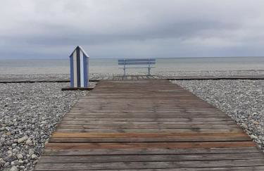 les coquelicots en baie de Somme - Foto 7