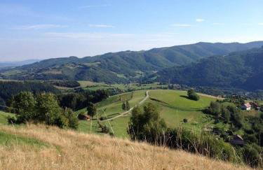 Willa Rytro dom wakacyjny w górach do wynajęcia na wyłączność dla 15 osób - Foto 4