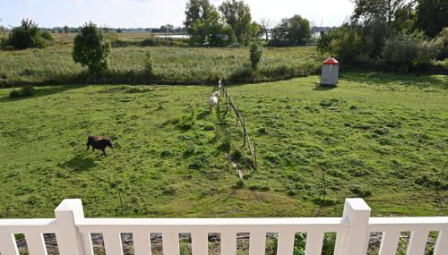 Holiday home in Poseritz - Insel Rügen 41511 - Foto 3, Garden