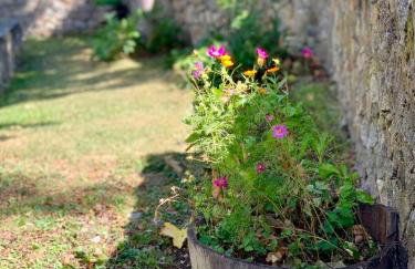 Πέτρινο παραδοσιακό σπίτι "Χιονάτη" - Foto 2