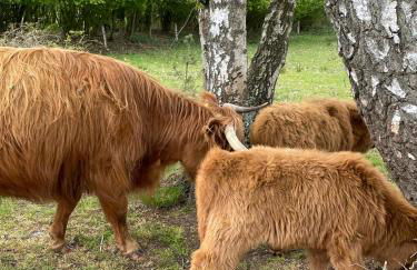 City-Apparte Boarding -Studios- Dein flexibles Zuhause in Gronau - Foto 51