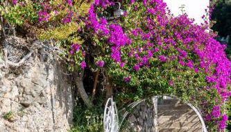 Casetta Arienzo - Foto 2