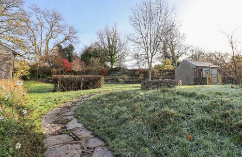 Green Yew - Photo 56