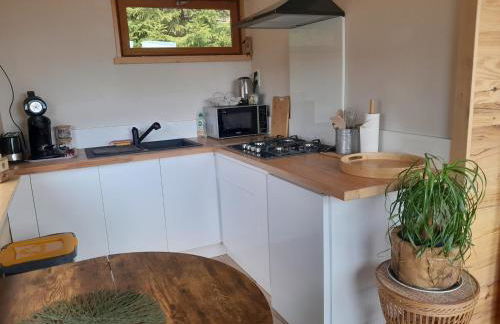 Chalet de l'Abondance - Foto 5