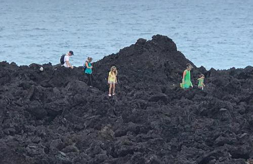 Coconut Palms Vacation Rental near lava fields and beaches - Foto 12