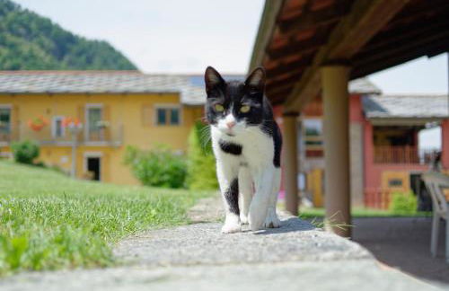 Bargiolina - Foto 55