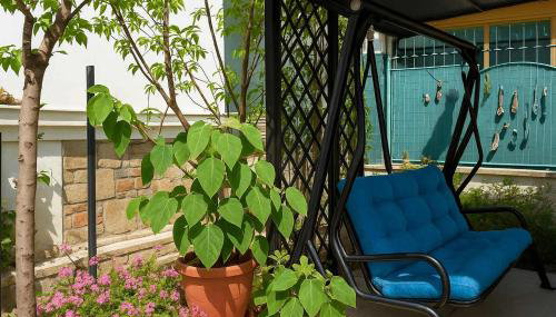 Urban Seaside Oasis - Adriana s Garden Paradise - Foto 2, Garden, Garden view