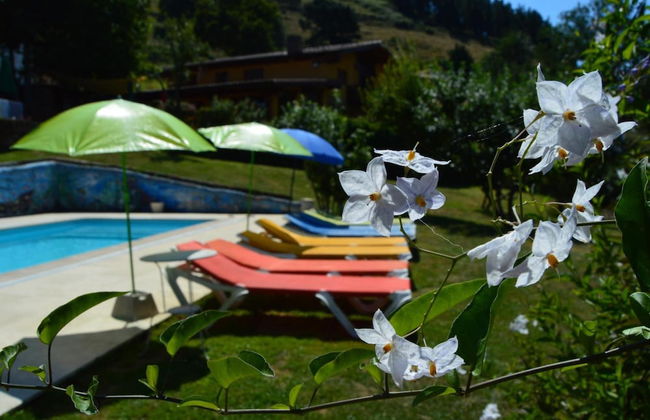 Gailurretan - Photo 30