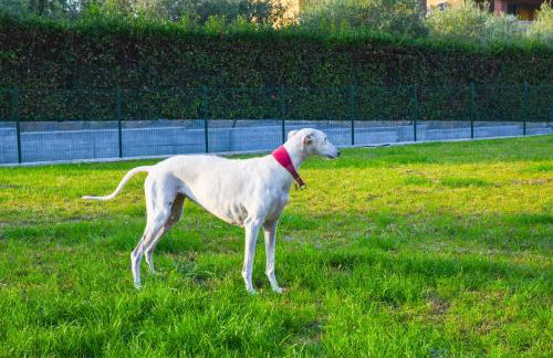 Apparthotel San Sivino - Foto 78