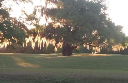 Creole Victorian for groups large and small - Foto 5