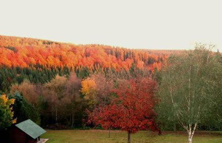 Landhaus Schlossberg - Foto 59