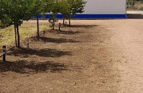 Monte do Ribeiro Baço - Monsaraz - Foto 5