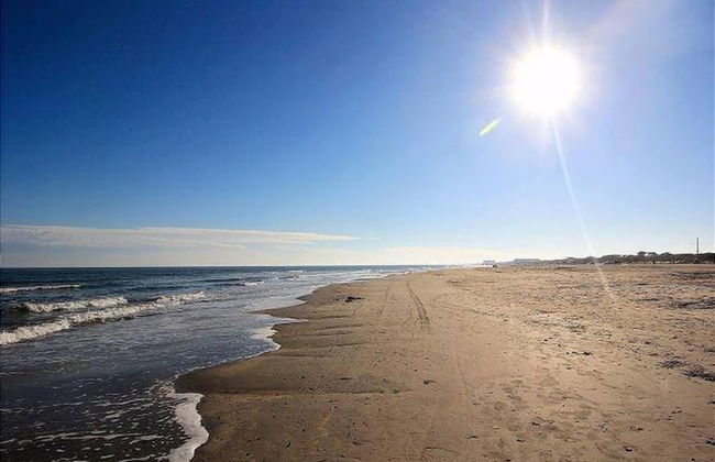 Ir19-on the Half Shell - Foto 8