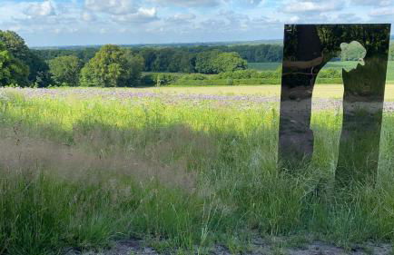 FeWo Hasen Suite - Foto 7