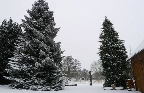 Geräumiges Ferienhaus im Teutoburger Wald - Foto 34