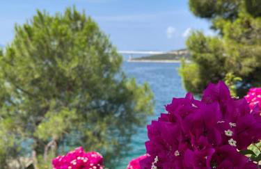 Apartman Marta - Photo 51