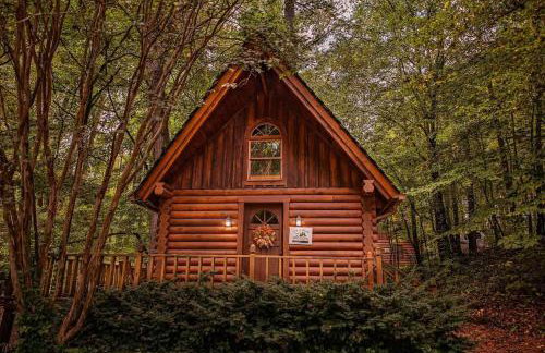 Ivy Cottage Cute Cottage Along The Ocoee River - Foto 1